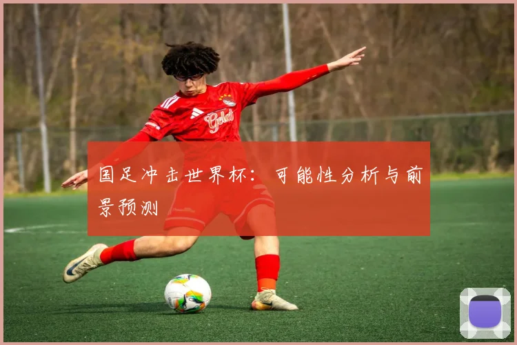 国足冲击世界杯：可能性分析与前景预测